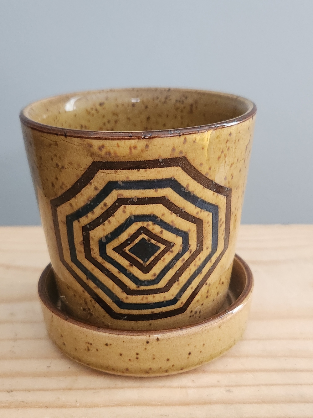 Handcrafted Ceramic Planter with Geometric Black Design